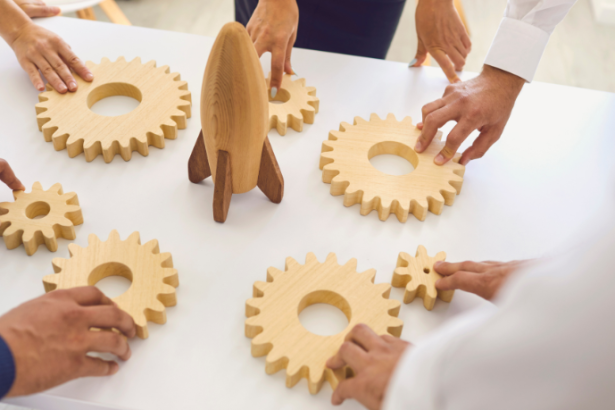 Braulio Henrique Dias Viana mostra como a liderança eficaz pode transformar a gestão e revolucionar empresas.