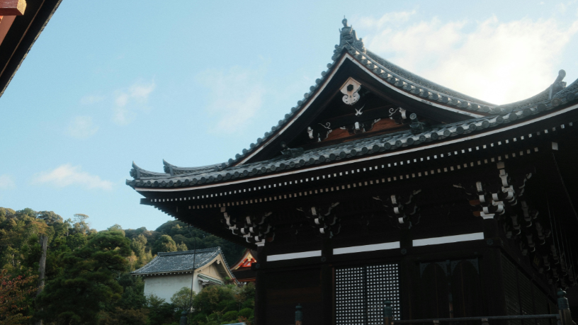 Descubra com Alberto Toshio Murakami as cidades japonesas que você precisa conhecer além de Tóquio e amplie sua visão sobre o país do sol nascente.